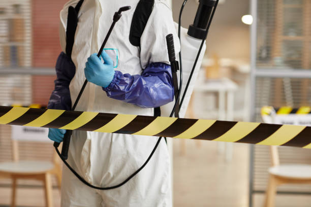 Professional Blood Cleanup technician working in Hood, CA